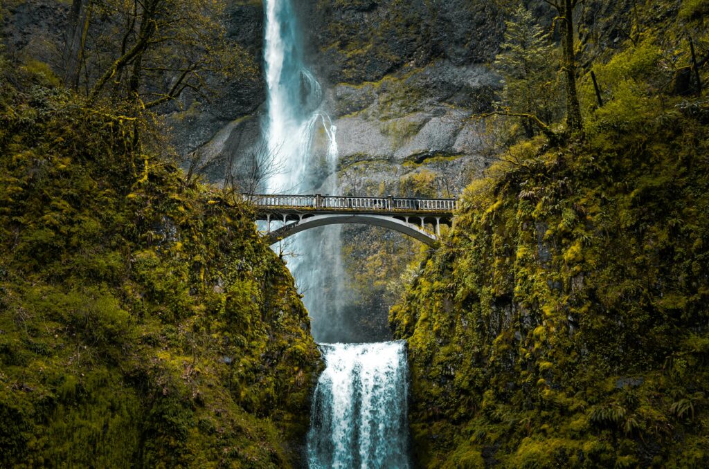 multnomah falls