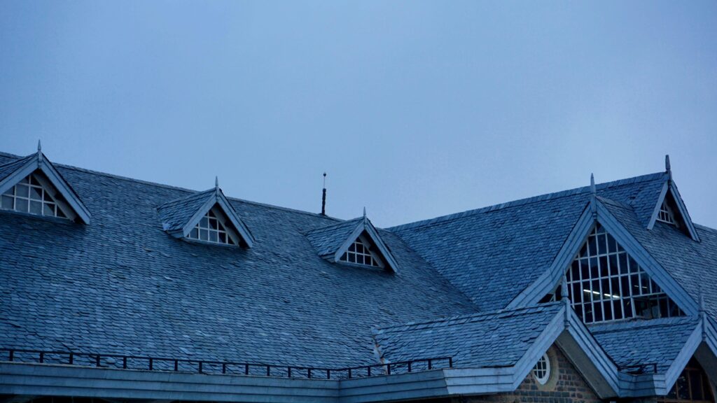 easy tips for roof care